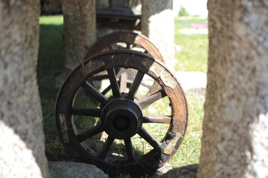 Quinta Casa Da Fonte Gospodarstwo agroturystyczne